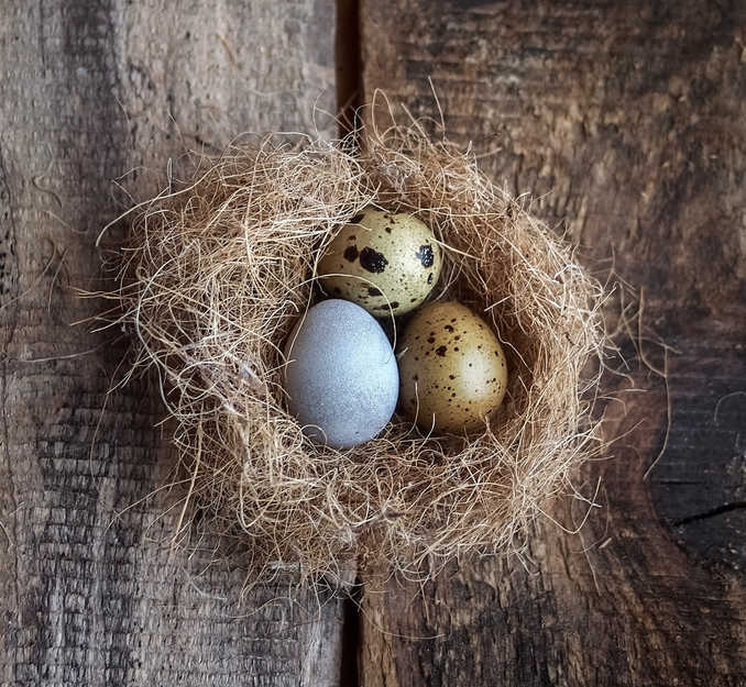 robq_ck様ご確認中 公開宣言(赤き真実) 年内に第一稿を提出。