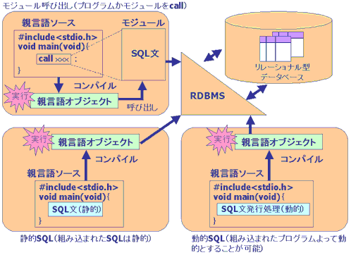 親言語とSQL