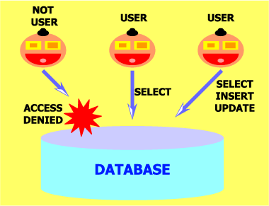 ユーザがデータベースにアクセスできる方法